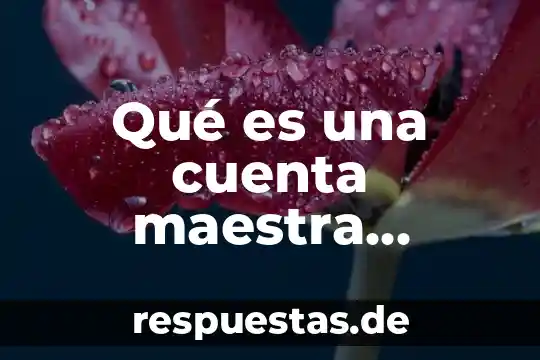 Que es la cuenta maestra en hoteleria 5 Qué es una cuenta maestra banamex