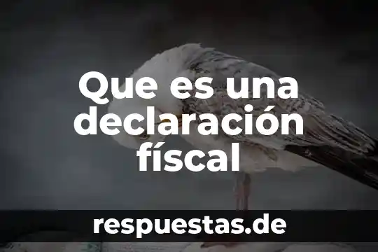 Qué es la TFTC en fiscal significado 8 Que es una declaración físcal