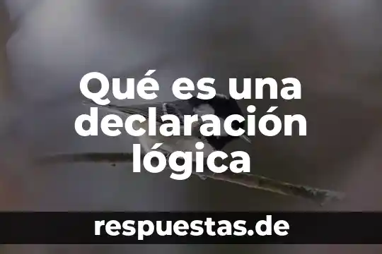 Que es la coma y en que se emplea 4 Qué es una declaración lógica