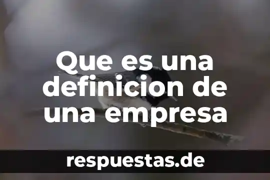 Qué es línea perpendicular definición 3 Que es una definicion de una empresa