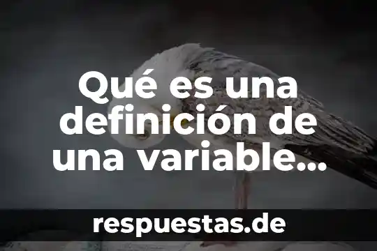 Que es una prueba operacional en una empresa 5 Qué es una definición de una variable operacional
