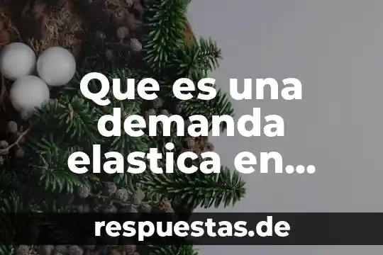 Qué es demanda educativa definición 8 Que es una demanda elastica en economia