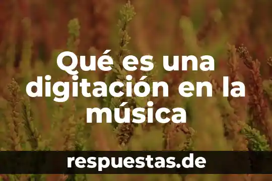 Tipo de música que es el trap 5 Qué es una digitación en la música