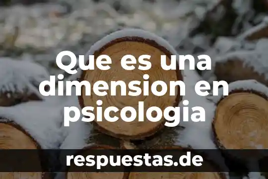 Que es una dimension en psicologia