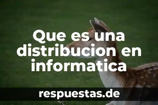 Qué significa o qué es un frames en informática 6 Que es una distribucion en informatica