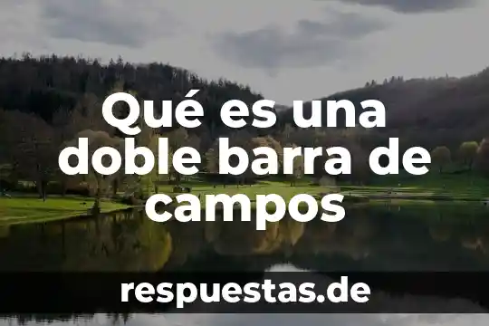 Qué es el código de qr y de barra 3 Qué es una doble barra de campos