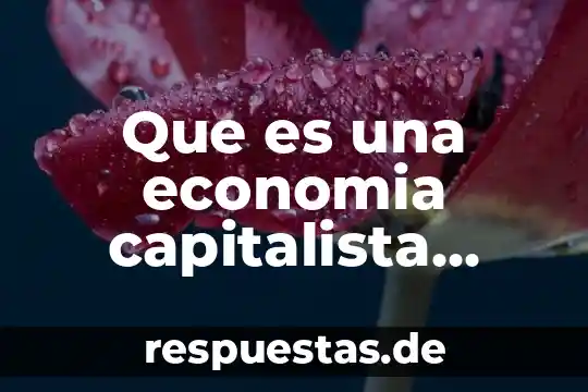 Qué es la economía informal según Stellie 3 Que es una economia capitalista mixta