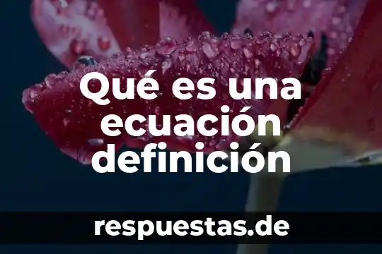 Qué es una ecuación definición