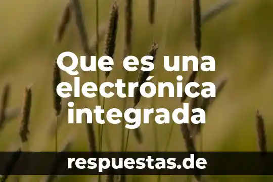 Que es la litosfera y como esta integrada 4 Que es una electrónica integrada