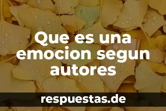 Qué es la filosofía distintos autores 5 Que es una emocion segun autores