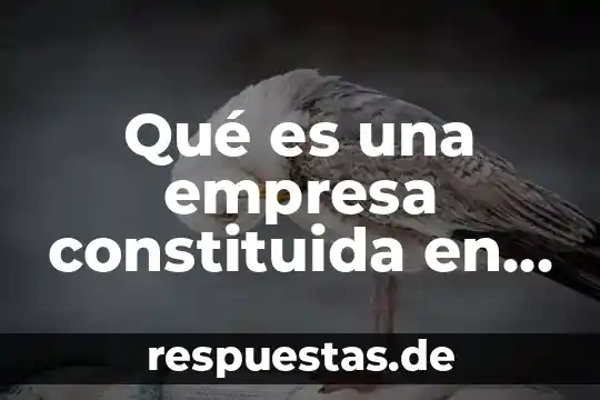 Por que es necesario cambiar una bujia 8 Qué es una empresa constituida en sociedad en Bolivia