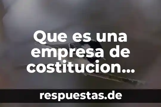 Que es una empresa de costitucion legal de comando simple