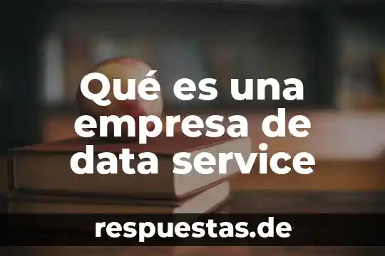 Qué es una empresa de data service