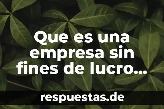 Que es lucro para el derecho 4 Que es una empresa sin fines de lucro yahoo