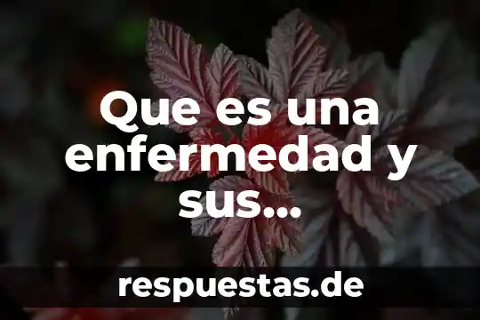 Que es la cultura oms 5 Que es una enfermedad y sus caracteristicas oms