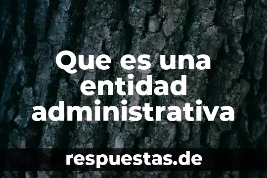 Que es el modelo entidad relación 4 Que es una entidad administrativa