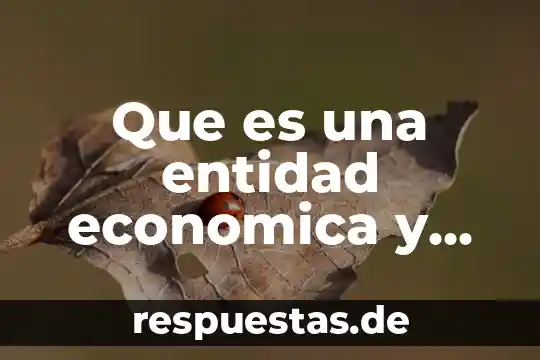 Que es el modelo entidad relación 6 Que es una entidad economica y los tipos