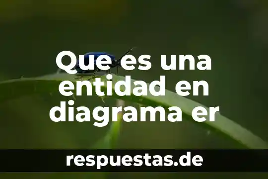 Que es el modelo entidad relación 5 Que es una entidad en diagrama er