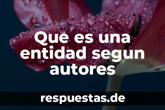 Según Sigmund Freud que es la proyección 7 Que es una entidad segun autores
