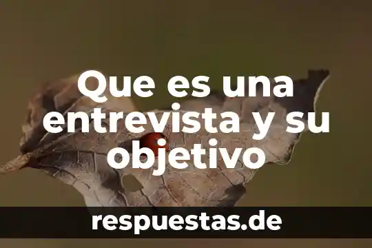 Qué es un objetivo de una entrevista 4 Que es una entrevista y su objetivo