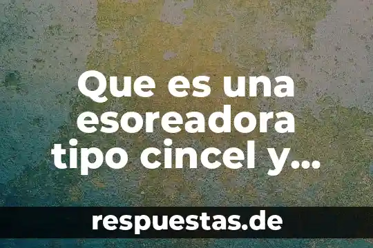Qué es un tipo o filo de animal 7 Que es una esoreadora tipo cincel y donde comprar