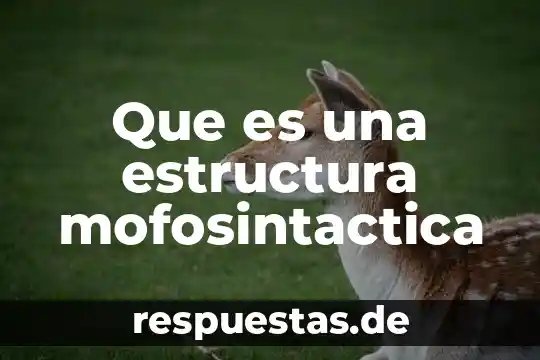 Qué es estructura en concepto de esem 7 Que es una estructura mofosintactica