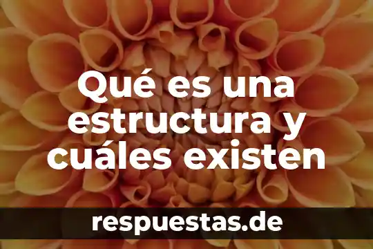 Que es estructura internacional 3 Qué es una estructura y cuáles existen