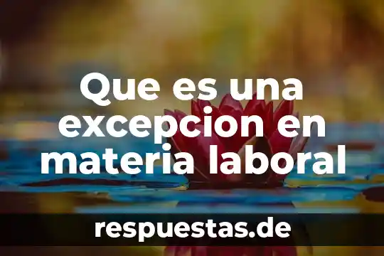 Que es la teoría española del contrato laboral 6 Que es una excepcion en materia laboral
