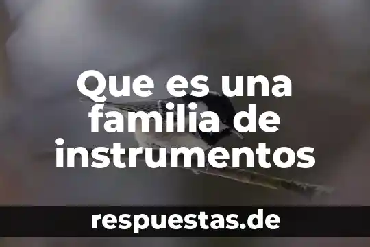 ¿Qué es la familia concepto psicología? 3 Que es una familia de instrumentos