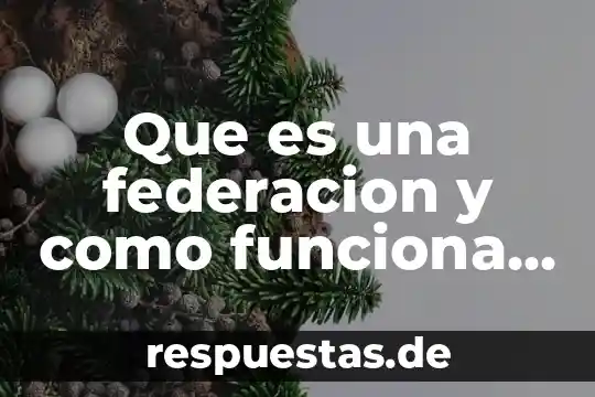 Qué es el código fiscal de la federación definición 5 Que es una federacion y como funciona politicamente