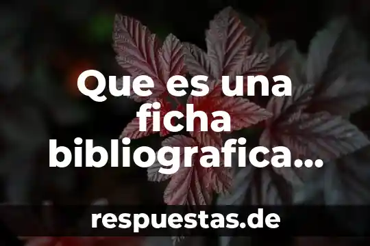 Que es una ficha bibliografica de autor