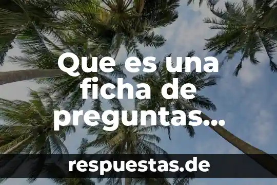Que es una ficha de preguntas definicion