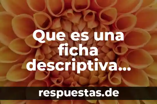 Que es la ficha del resumen 6 Que es una ficha descriptiva yahoo