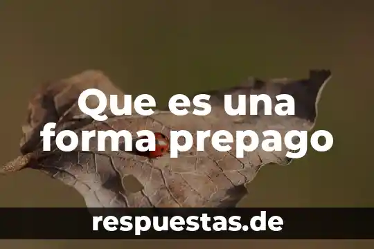 Supernova que es y como se forma 5 Que es una forma prepago