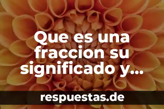Que es una fraccion comun en matematicas 3 Que es una fraccion su significado y sus partes