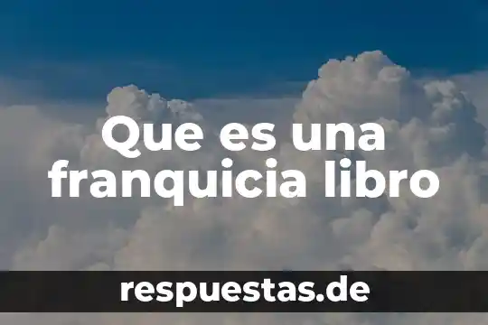 Que es una franquicia libro