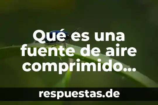 Qué es mejor comprimido o efervescente 5 Qué es una fuente de aire comprimido festo definición