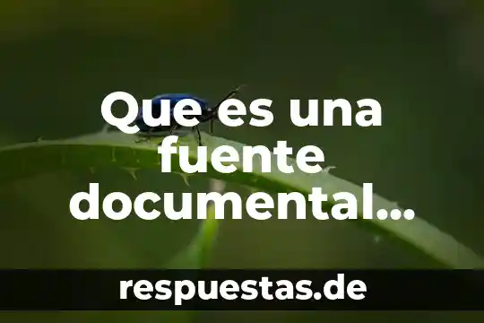 Que es un argumento e definiciones con fuente 3 Que es una fuente documental grafica