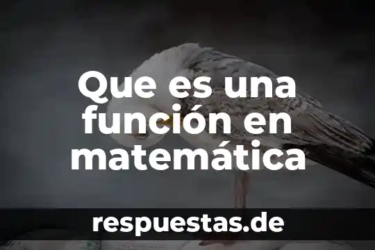 Que es funcion poetica o estetica 6 Que es una función en matemática