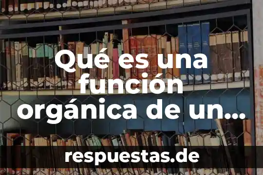 Que es ley orgánica municipal del estado 5 Qué es una función orgánica de un ser humano