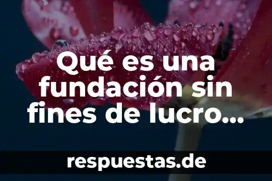 Que es lucro para el derecho 3 Qué es una fundación sin fines de lucro en México