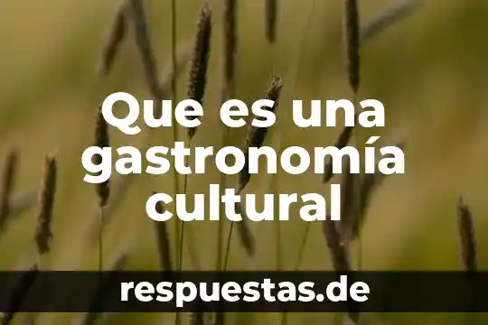 Qué es servicio comida rápida y autoservicio en gastronomía 3 Que es una gastronomía cultural