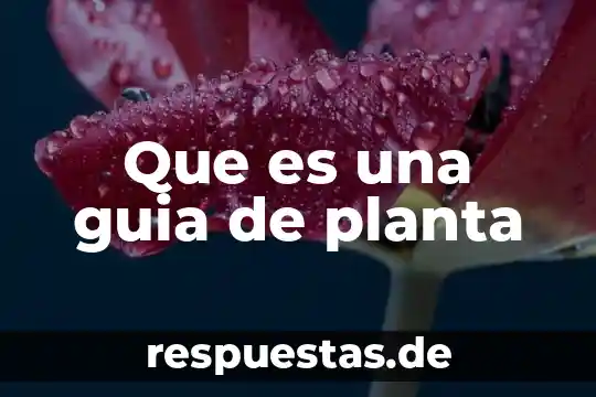 Que es una guia de corte 6 Que es una guia de planta