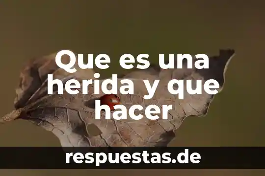 Que es hacer playback 7 Que es una herida y que hacer