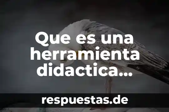 Que es una herramienta didactica educativa
