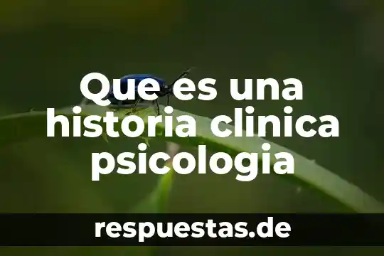 Que es signo en las artes 4 Que es una historia clinica psicologia