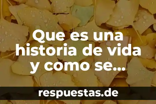Qué es el razonamiento analógico y cuál uso damos en la vida cotidiana 8 Que es una historia de vida y como se construye