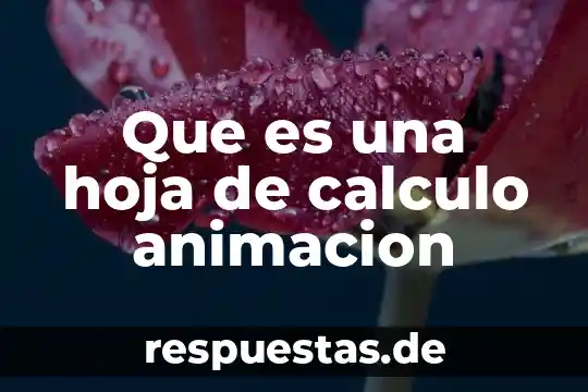 Sociedad legal que es 3 Que es una hoja de calculo animacion