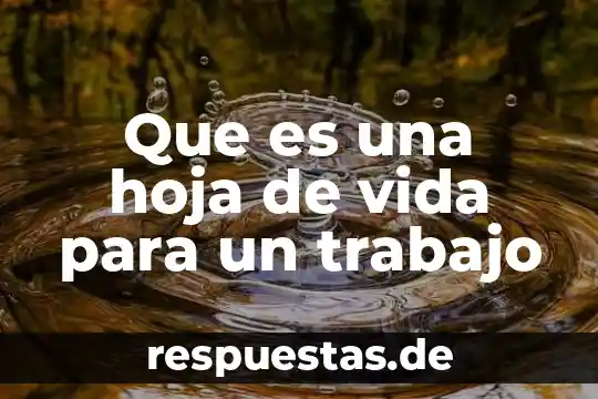 Que es una hoja de vida para un trabajo