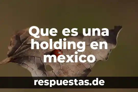 Qué es justicia administrativa en México 5 Que es una holding en mexico